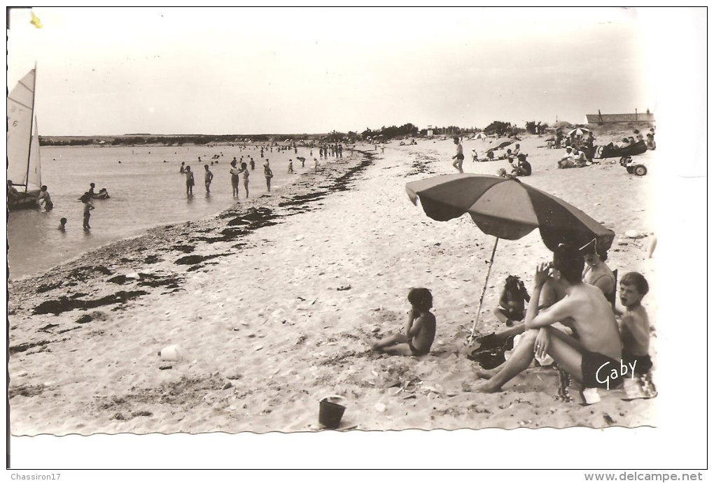 17 -  ANGOULINS - Lot De 3 Cartes -   Le Moulin De La Pierre + La Plage + Le Port - CPSM - Angoulins