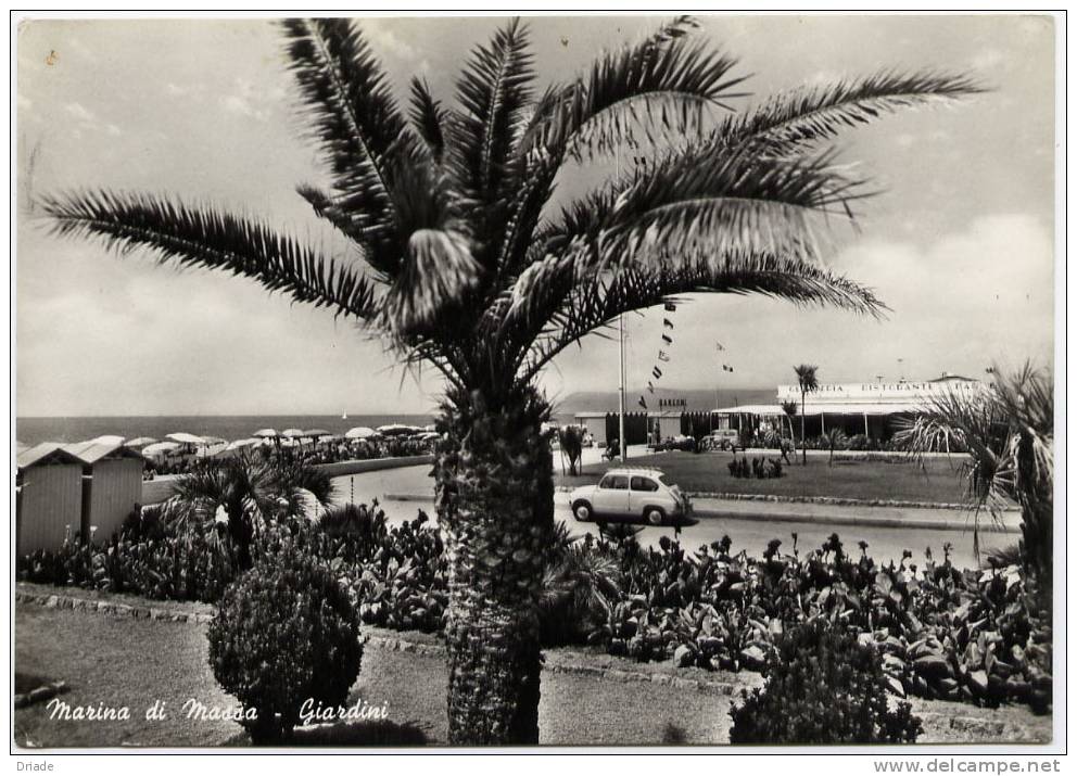 CARTOLINA FORMATO GRANDE DI MARINA DI MASSA - Massa