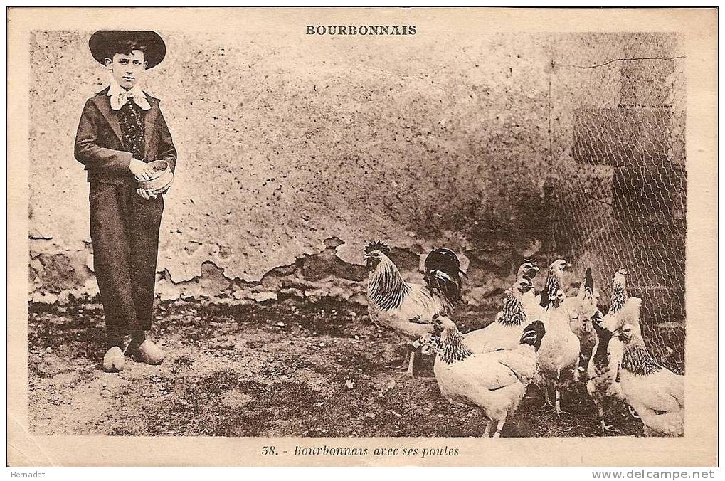 BOURBONNAIS AVEC SES POULES - Viehzucht