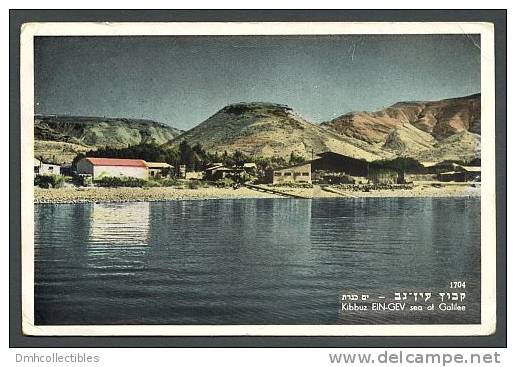 Israel Kibbuz Ein-Gev Galilee Sea Kibbutz Ca. 1970 Topographic Postcard (E-97) - Israel