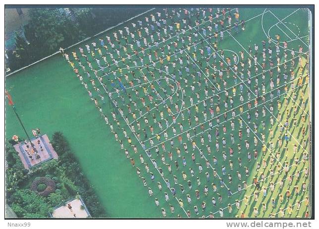 Basketball - Bird View Of The Basketball Court, Shanghai City - Basket-ball