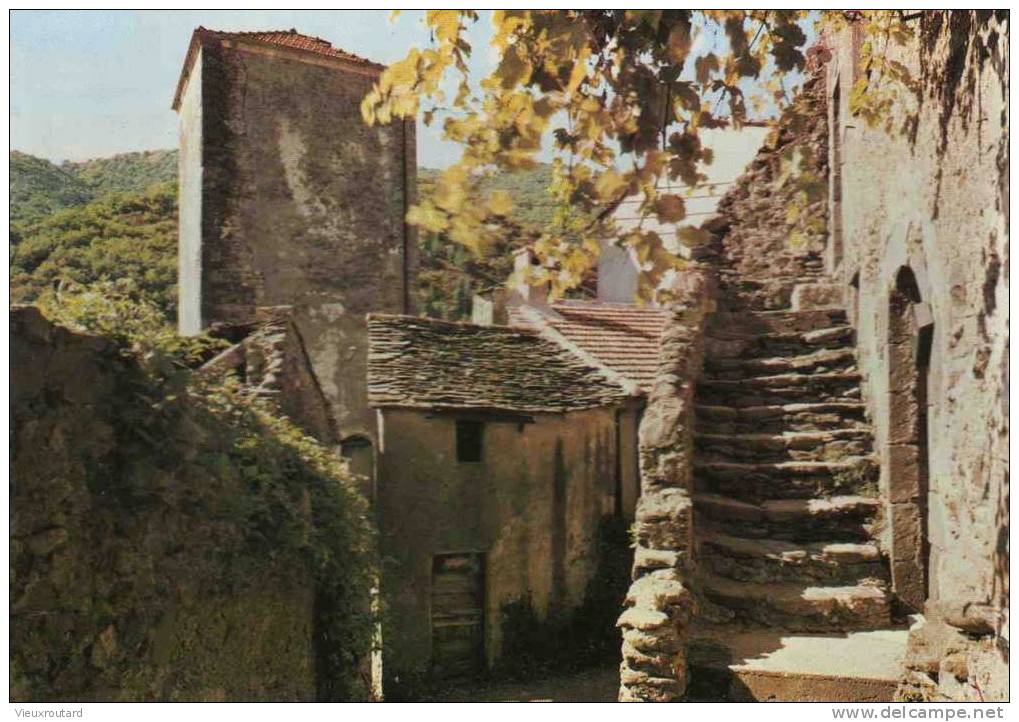 CPSM.  VALLERAUGUE. MONT AIGOUAL. UNE VIEILLE RUE "LE SERRE". DATEE 1979. - Valleraugue