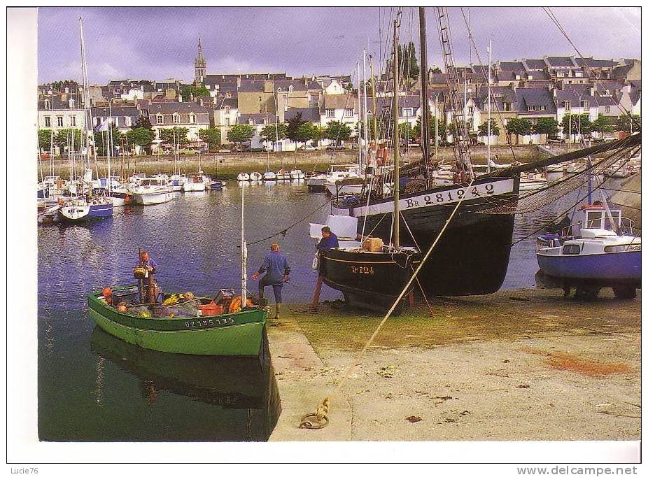 DOUARNENEZ -  Le Port De TREBOUL  -  N°  9 6715 - Tréboul