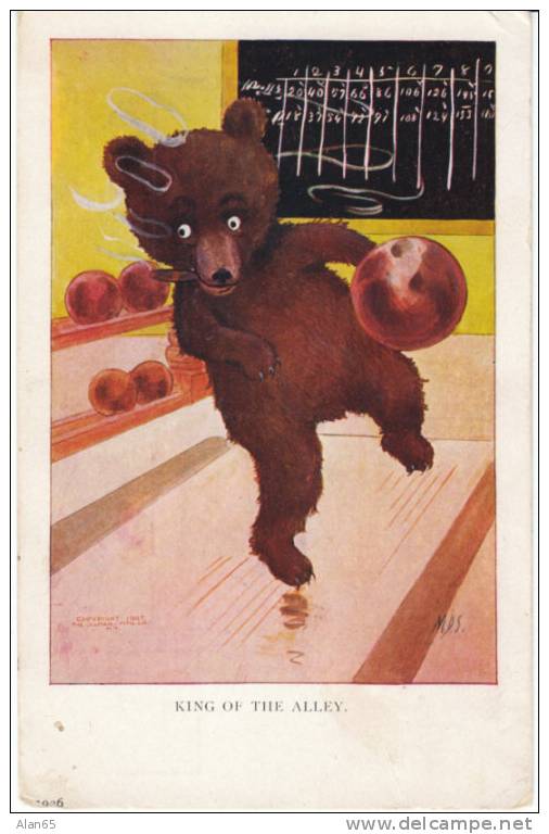 'M.D.S.' Artist Signed Postcard, Sporty Bears Series #83, King Of The Alley, Bowling Postcard - Osos