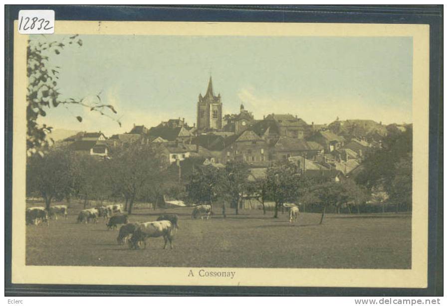 DISTRICT DE COSSONAY ///  COSSONAY -  B  (  PETIT PLI D'ANGLE ) - Cossonay