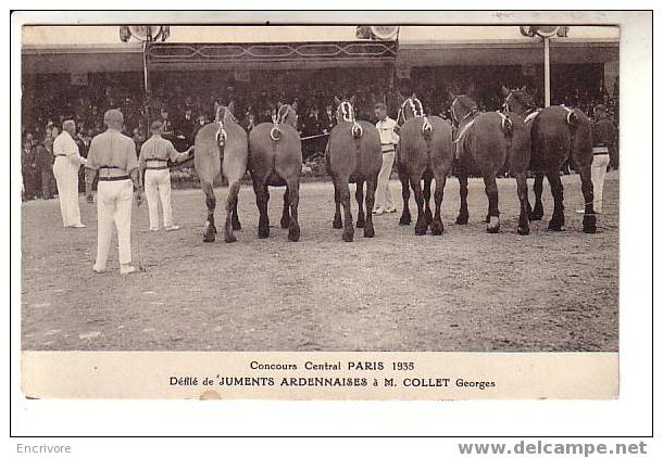 Cpa CHEVAL Concours Central - Paris 1935 - Défilé De Juments Ardennaises - Elevage