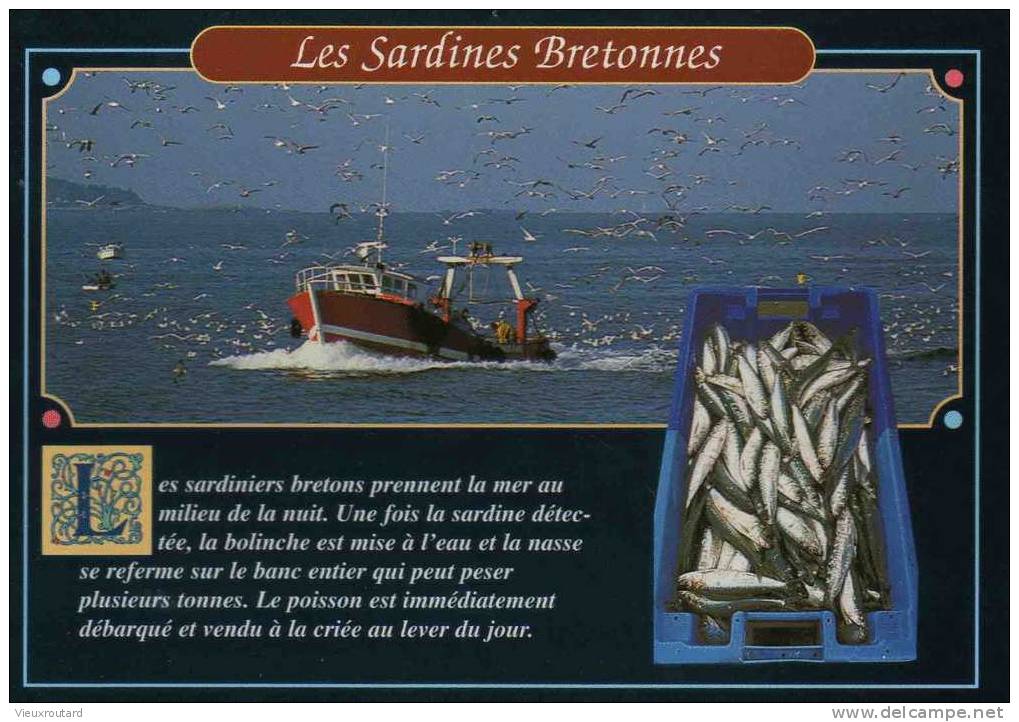 CPSM.  LE RETOUR D'UN SARDINIER APRES UNE PECHE NOCTURNE. DATEE 1998. - Pêche