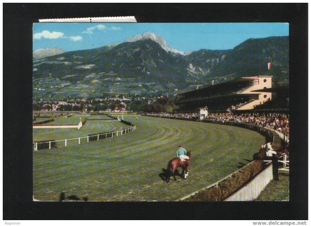 MERANO ITALIA HIPODROME HORSE RACING - Hippisme