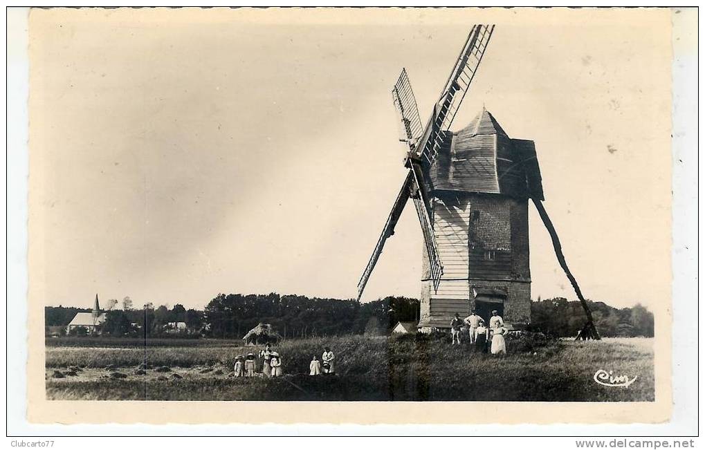 Noyelles-sur-mer : Moulin à Vent 1950 (animée). - Noyelles-sur-Mer