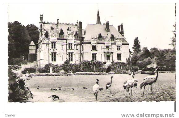 CPA  Glacée   - Zoologique De Cléres (S-Mme) Le Château - Grues Couronnées Et Demoiselles Numidie - Clères