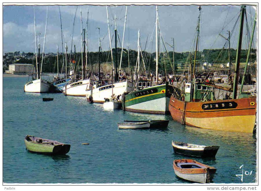 Carte Postale 29. Crozon - Morgat Bateaux De Pêche à Qui  Trés Beau Plan - Crozon