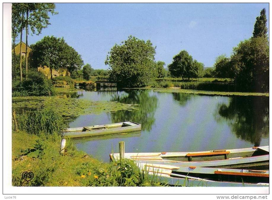 DURTAL - Les Bords Du Loir Au  MOULIN De CHALOU  - N° 2 - Durtal