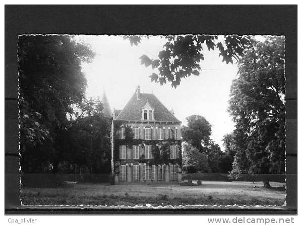 89 CHAMPIGNY SUR YONNE Chateau, Ed Collin 1675, CPSM 9x14, 195? - Champigny