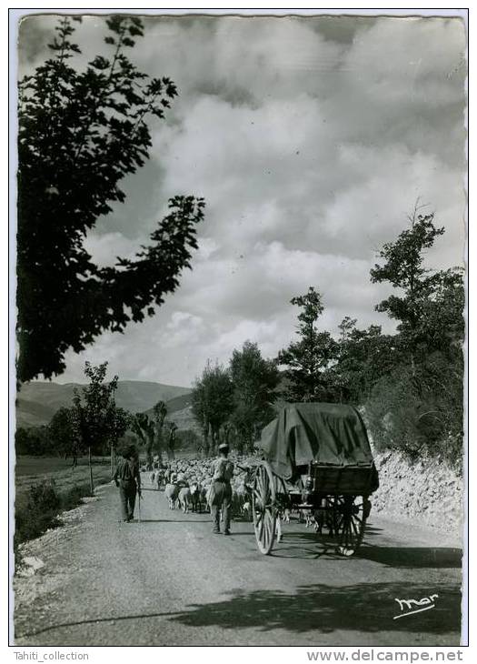 LA TRANSHUMANCE - Equipaggiamenti