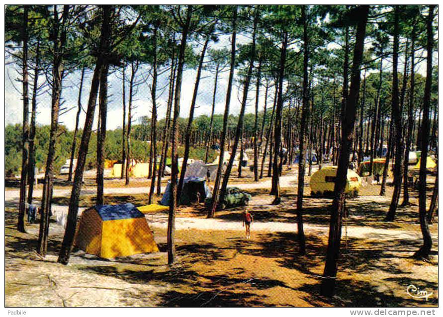 Carte Postale 40.  Mimizan   Camping Dans Les Pins Trés Beau Plan - Mimizan Plage