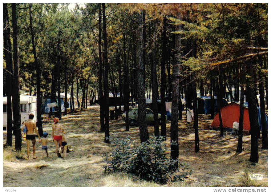 Carte Postale 40.  Mimizan   Camping Dans Les Pins Trés Beau Plan - Mimizan Plage
