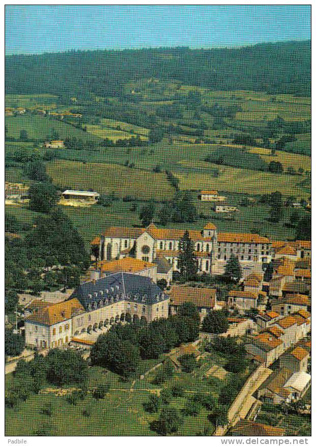 Carte Postale 42. Belmont-de-la-Loire   Vue D'avion Trés Beau Plan - Belmont De La Loire