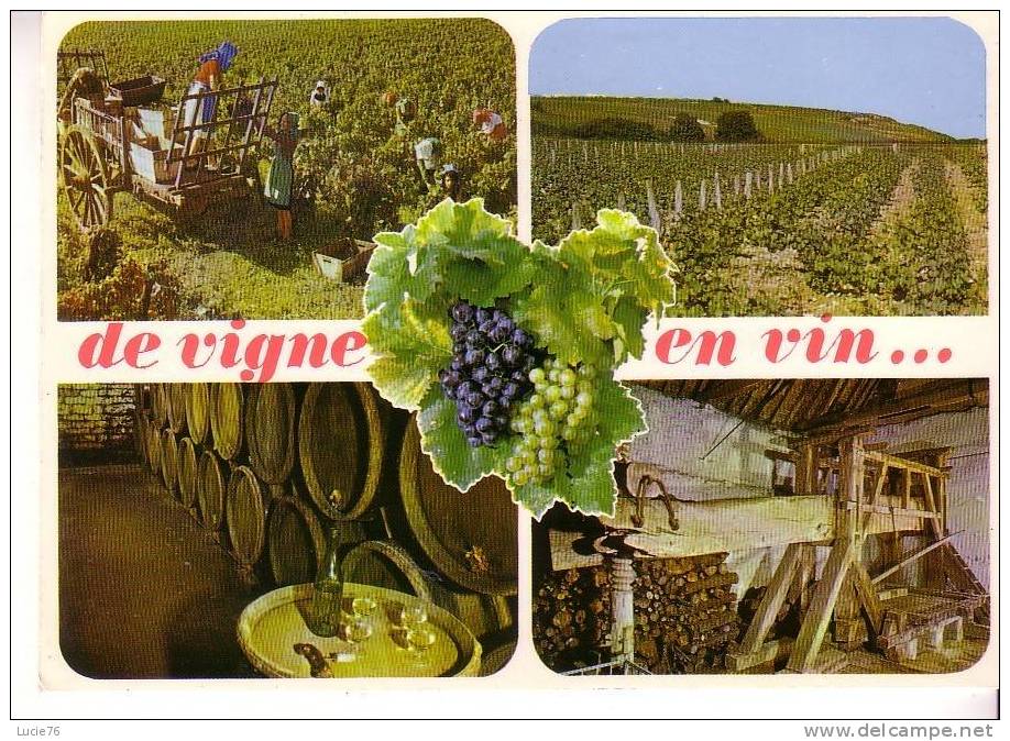 De Vignes En Vin...   -  5 Vues   - N° 12011 - Bourgogne