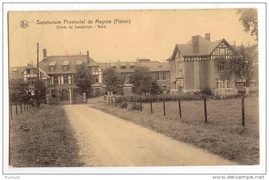 C7099 - Sanatorium Provincial De Magnée (Fléron) - Fléron