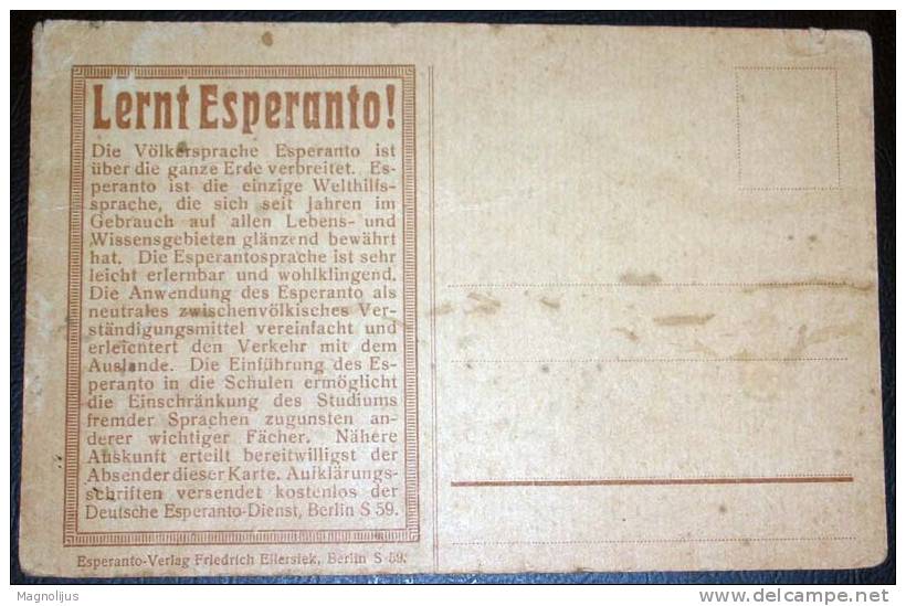 Esperanto,Germany,Propaganda Text,vintage Postcard,damaged - Esperanto