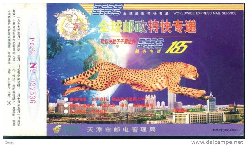 Leopard Rare Animal   ,   Pre-stamped Card , Postal Stationery - Rhinoceros