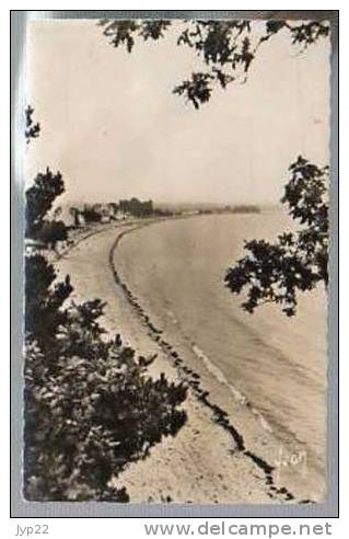 Jolie CP Photo 29 Les Environs De Fouesnant La Plage De Cap Coz - Ed Yvon B. 920 Flamme & CAD 17-08-1962 - Fouesnant