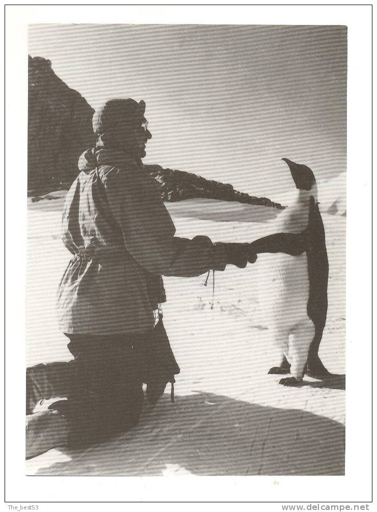 Terre Adélie-  Expéditions Polaires Françaises -  L´Homme Et L´Empereur - TAAF : Terres Australes Antarctiques Françaises