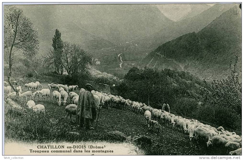 CHATILLON-en-DIOIS - Troupeau Communal Dans Les Montagnes - Châtillon-en-Diois