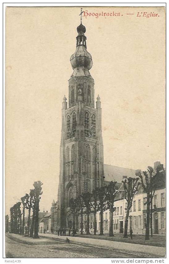 1115.  Hoogstraten - Hoogstraeten :    L'Eglise - Hoogstraten