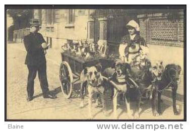Dog Cart - Milk Seller - Policeman - Policia – Gendarmería