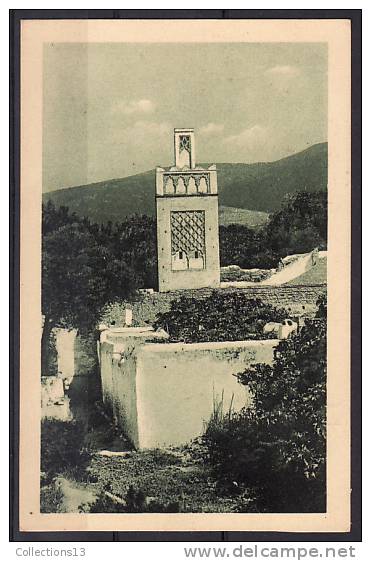 ALGERIE - Tlemcen - Mosquée De Sidi Lhassen - Tlemcen