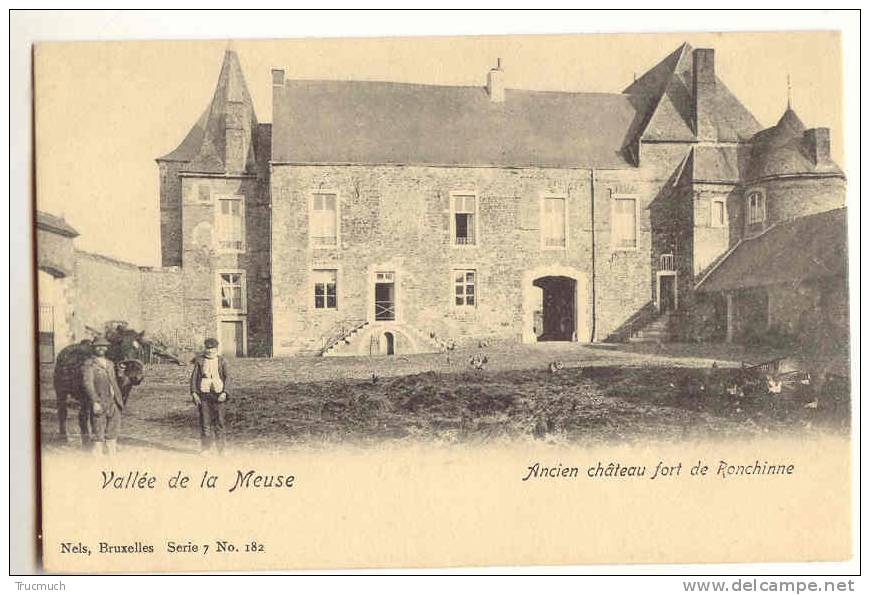 C7200 - Vallée De La Meuse - Ancien Château Fort De Ronchine " Nels Série 7 N° 182" - Assesse