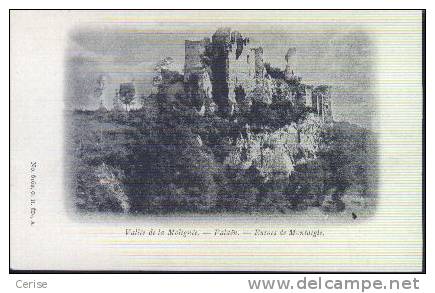 Vallée De La Molignée - Falaën - Ruines De Montaigle. - Onhaye