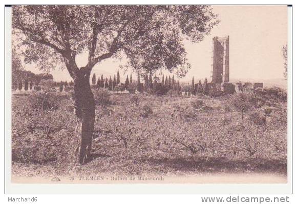 ALGERIE.TLEMCEN.RUINES DE MANSOURAH - Tlemcen