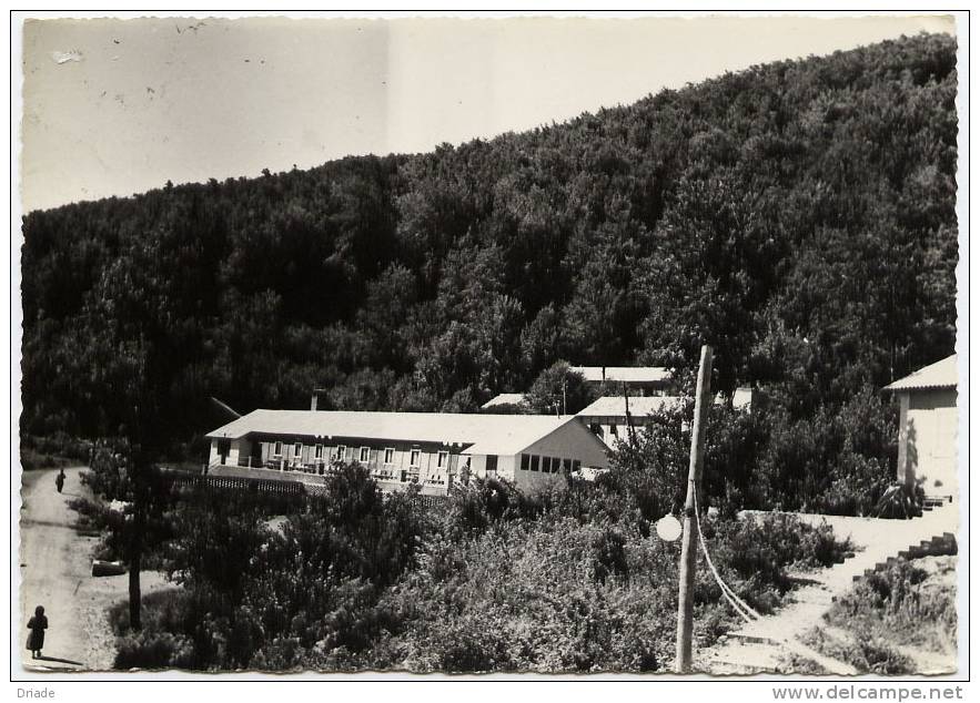 CARTOLINA FORMATO GRANDE RIFREDDO POTENZA SOGGIORNO MONTANO COMILITER - Autres & Non Classés