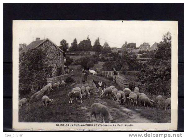 89 ST SAUVEUR EN PUISAYE Petit Moulin, Animée, Troupeau De Moutons, Ed Bergery, 193? - Saint Sauveur En Puisaye