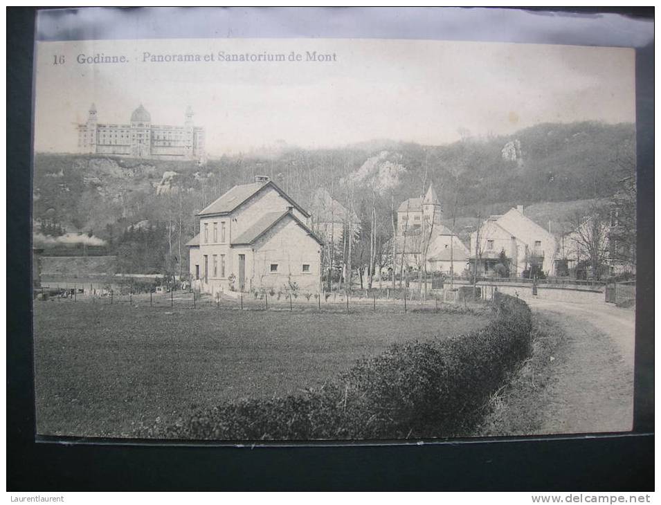 GODINNE - Panorama Et Sanatorium De Mont - Yvoir