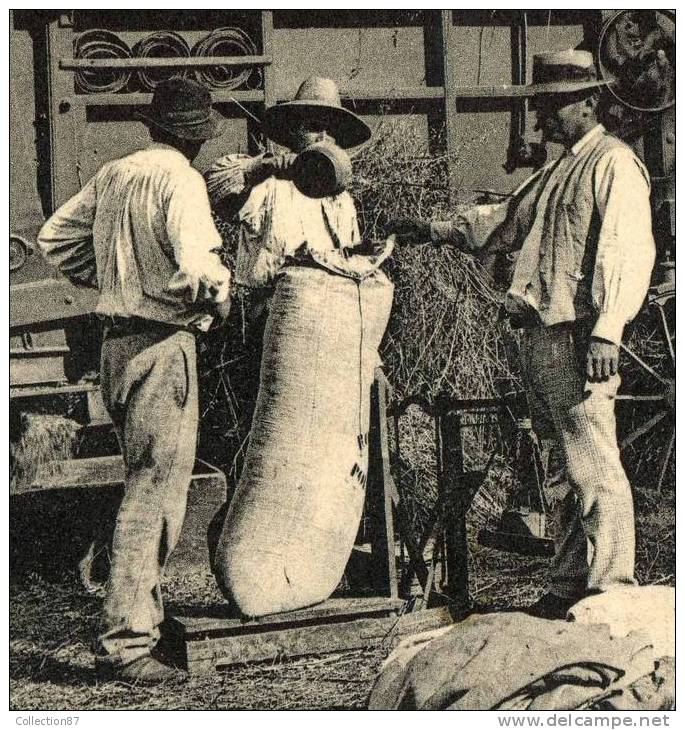 AGRICULTURE - BATTEUSE - SCENE De BATTAGE - LE PESAGE Du GRAIN Pour Le MOULIN - FARINE - PAIN - BOULANGER - VOIR DETAIL - Landwirtschaftl. Anbau