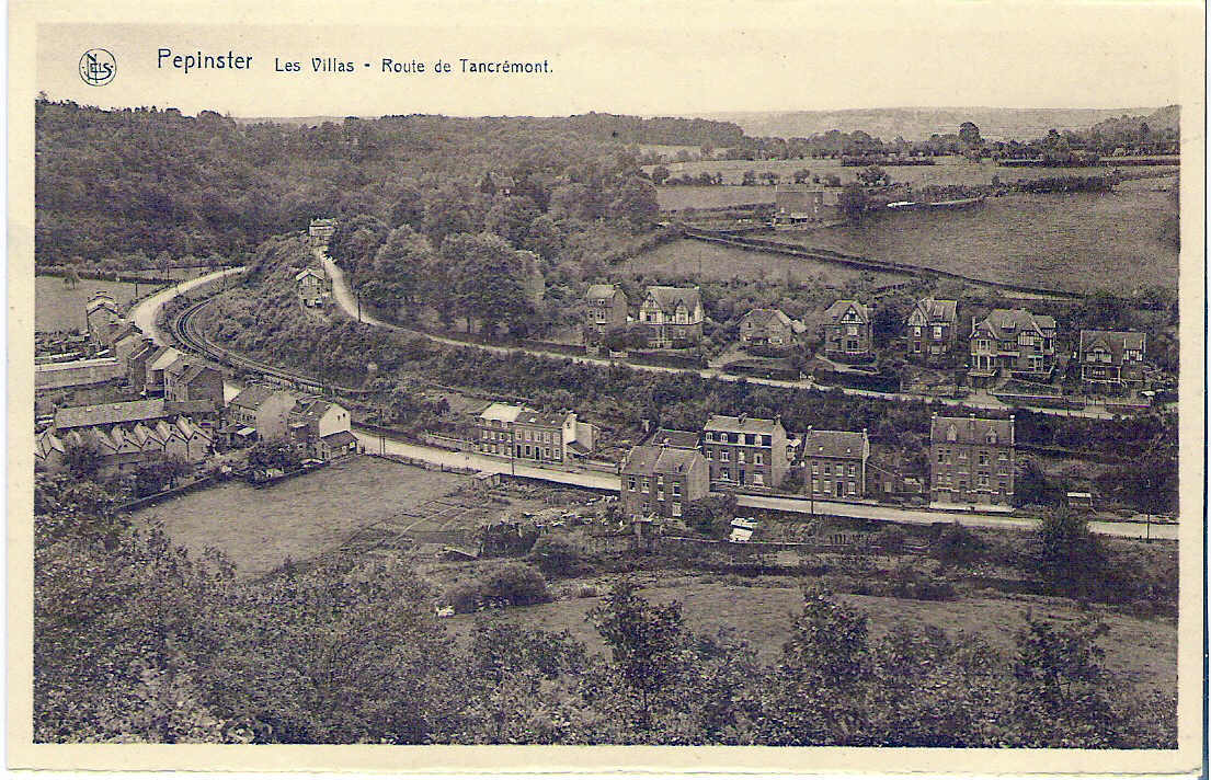 Pépinster - Les Villas - Route De Tancrémont - Pepinster