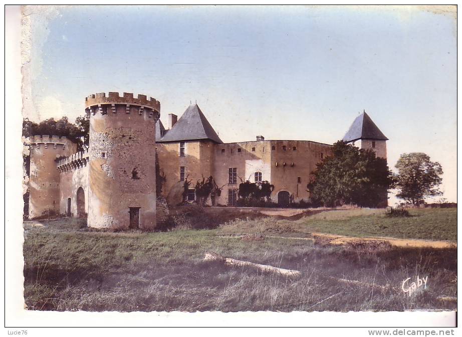 AIGUEPERSE - Le Château De La Roche - N°  15 - Aigueperse