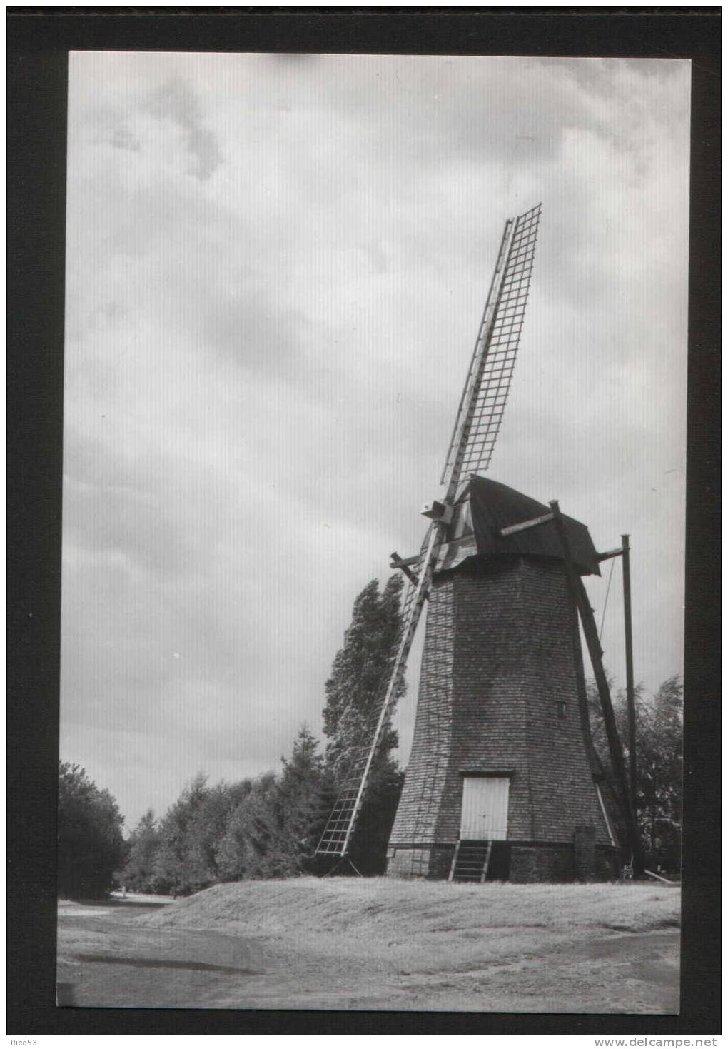 Arendonk Smoutmolen Of De Torenmolen Moulin Molen - Arendonk