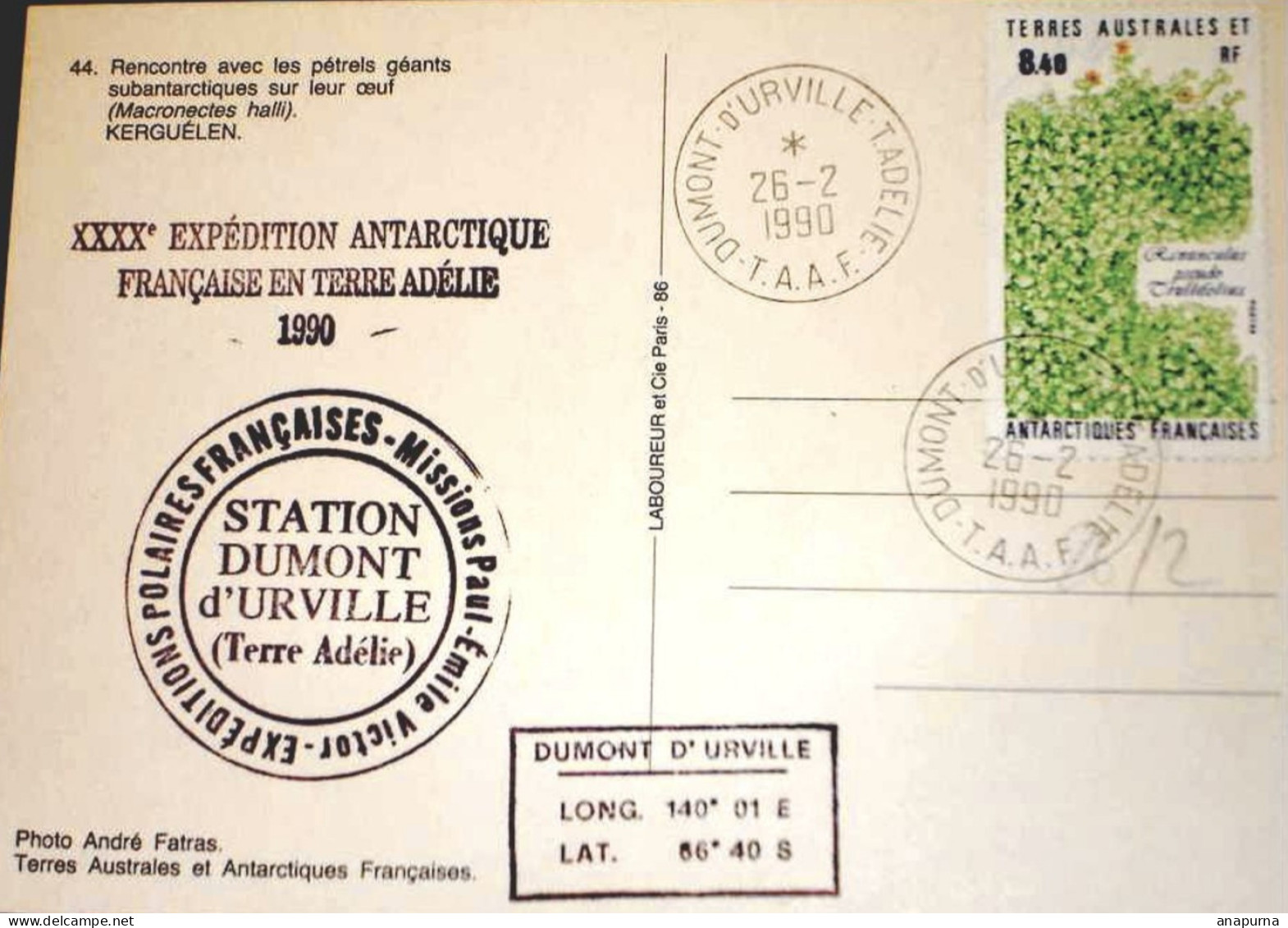 Carte Postale TAAF Terre Adélie 26-2-1990 Avec 3 Cachets Des EPF Et Missions Paul Emile Victor - Brieven En Documenten