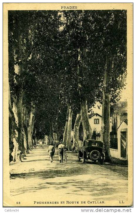 66 PRADES Promenades Et Route De Catllar (1932) - Prades