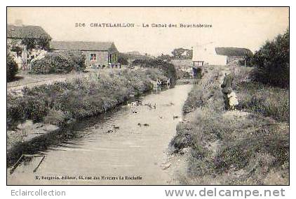Chatelaillon     17      Le Canal Des Boucheleurs   ( Comblé Et Urbanisé)   (voir Scan) - Châtelaillon-Plage