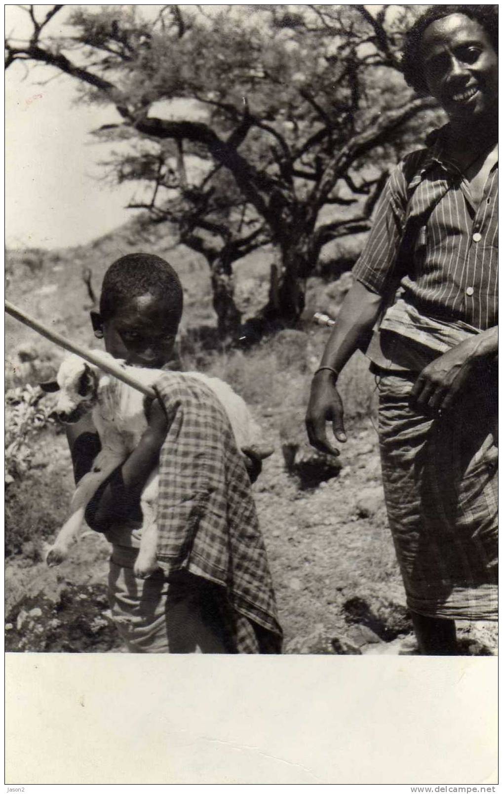 CPSM  (tfai)  Djibouti  Noir Et Blanc  L'enfant Et L'agneau - Djibouti