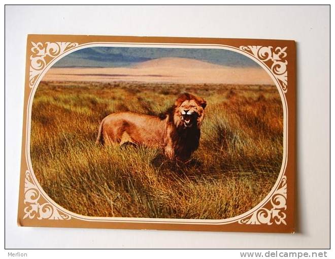 Tanzania -Lion    Cca 1970´s   VF   D32683 - Tanzanie