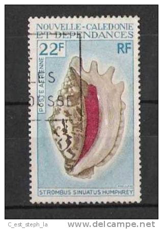 NOUVELLE CALEDONIE 1970-71 Coquillage (o) N°113 PA - Coneshells