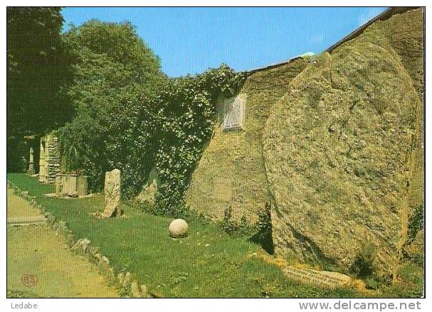 Z288 - CPM  De MAZAMET, Square Tournier - Vestiges Cathares. - Mazamet