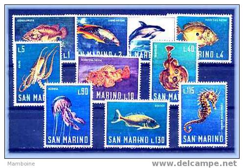 Saint Marin 1966 N° 676 / 685  Neuf XX Série Compléte (10 Valeurs) Poisson - Unused Stamps