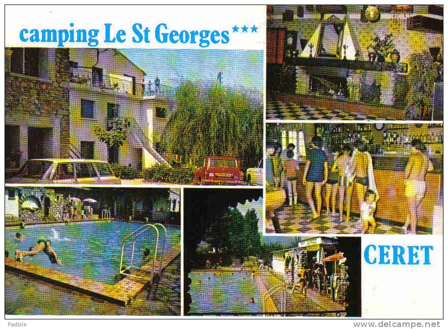 Carte Postale 66. Ceret   Camping St-Georges Trés Beau Plan - Ceret